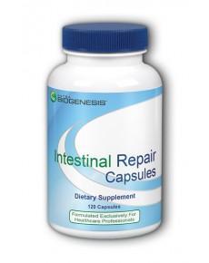 Intestinal Repair Capsules - 120 Vegetarian Capsules