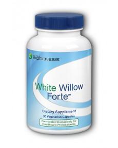 White Willow Forte - 30 Vegetarian Capsules