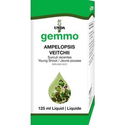 Ampelopsis Veitchii - 125 ml