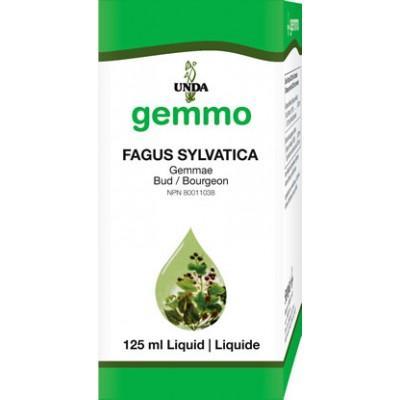 Fagus Sylvatica - 125 ml