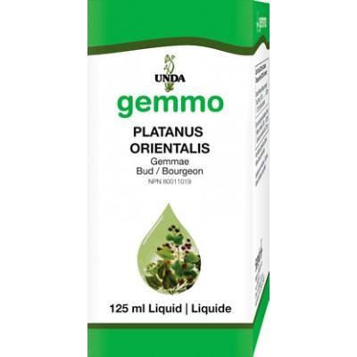 Platanus orientalis - 125 ml