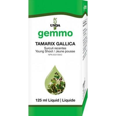 Tamarix gallica - 125 ml