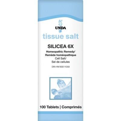 Silicea 6X - 100 Tablets